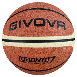Ballon Basket Toronto 7