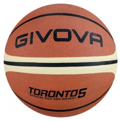 Ballon Basket Toronto 5